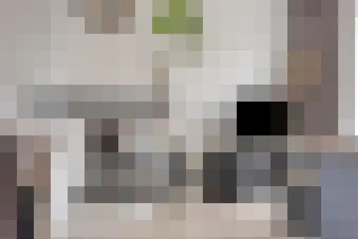 Vlasstraat 3 Zuidland thumbnail 16