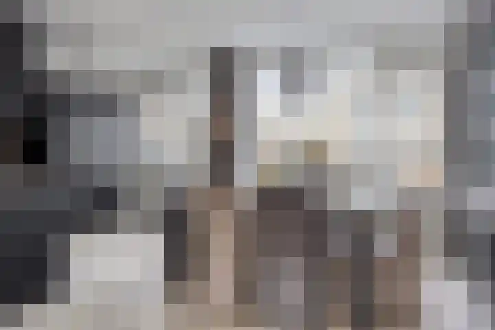 Vlasstraat 3 Zuidland thumbnail 18