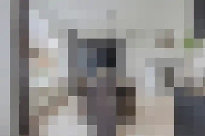 Vlasstraat 3 Zuidland thumbnail 19