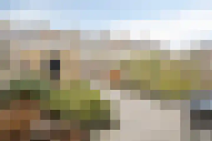 Vlasstraat 3 Zuidland thumbnail 44