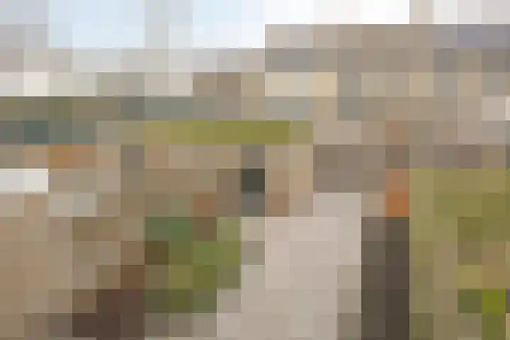 Vlasstraat 3 Zuidland thumbnail 49