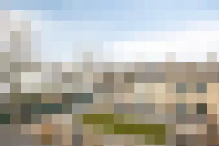 Vlasstraat 3 Zuidland thumbnail 50