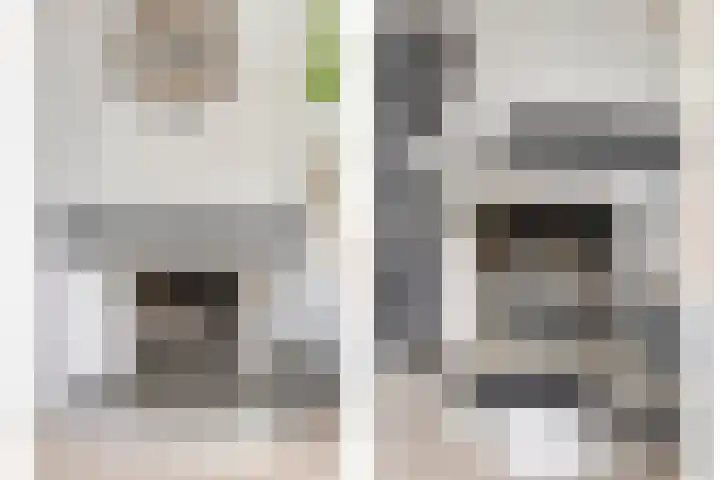 Vlasstraat 3 Zuidland thumbnail 55