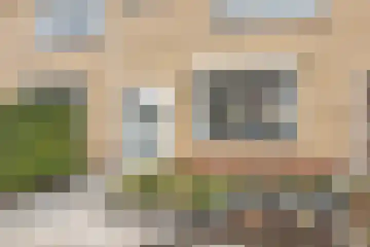 Vlasstraat 3 Zuidland thumbnail 6