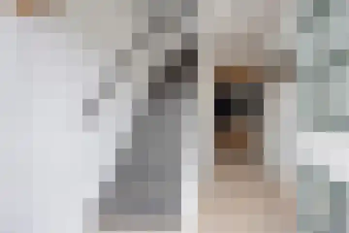 Vlasstraat 3 Zuidland thumbnail 7
