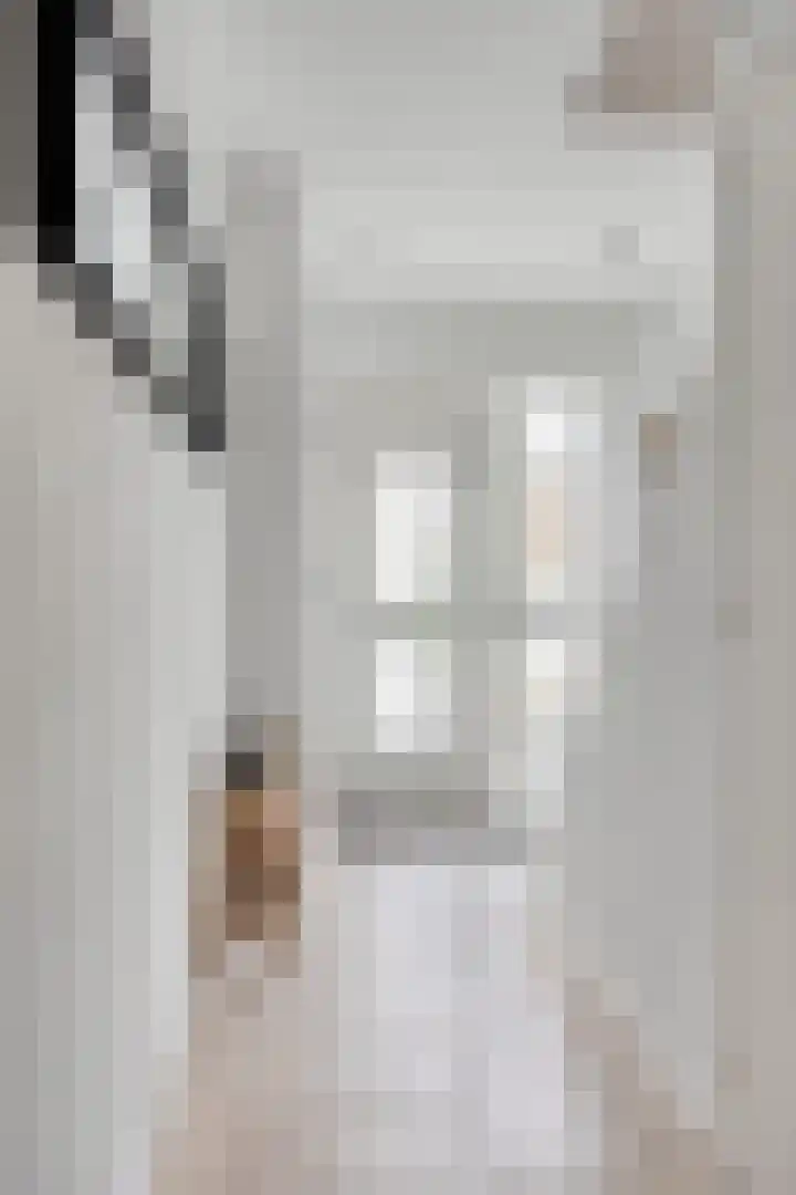 Vlasstraat 3 Zuidland thumbnail 8