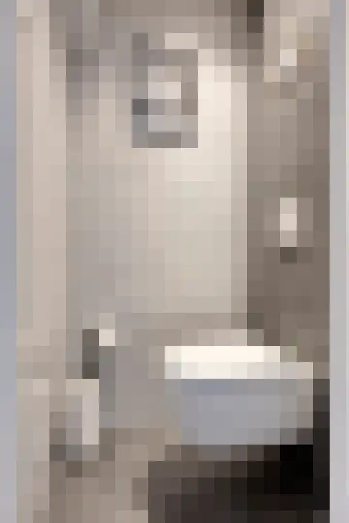 Vlasstraat 3 Zuidland thumbnail 9