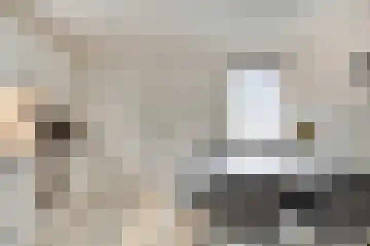 Vlasstraat 33 Heikant thumbnail 10