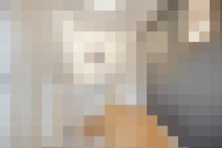 Vlasstraat 33 Heikant thumbnail 17