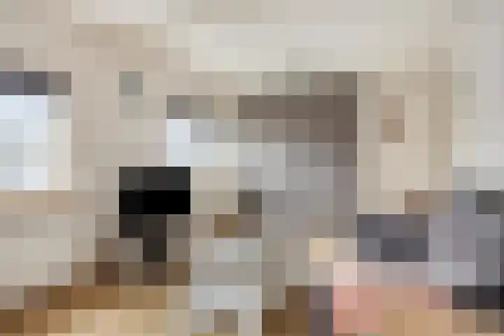 Vlasstraat 33 Heikant thumbnail 21