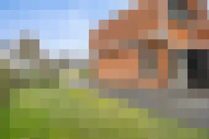 Vlasstraat 33 Heikant thumbnail 26
