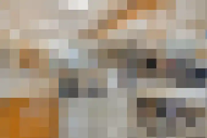 Vlasstraat 33 Heikant thumbnail 33