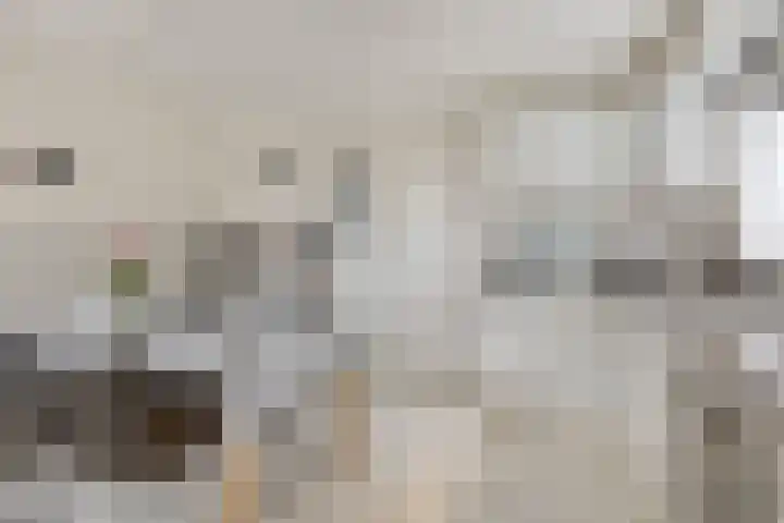 Vlasstraat 33 Heikant thumbnail 9