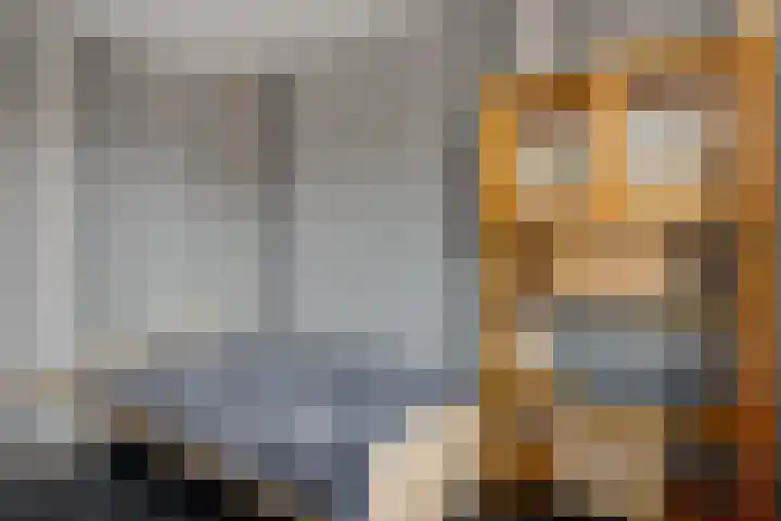 Vlasveld 29 Assen thumbnail 25