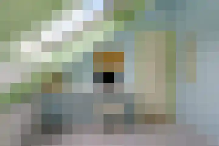 Vlasveld 29 Assen thumbnail 33