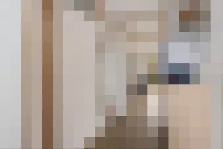 Vlasveld 29 Assen thumbnail 8