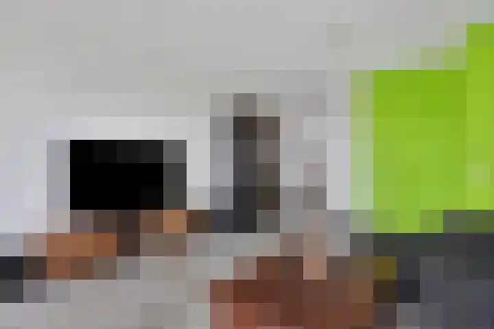Vlasven 105 Veghel thumbnail 12