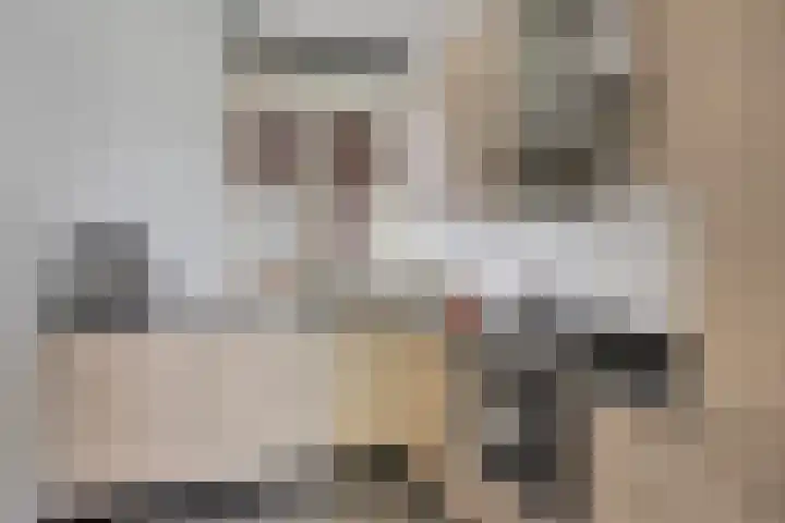 Vlasven 105 Veghel thumbnail 15