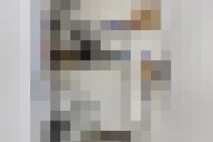 Vlasven 105 Veghel thumbnail 23