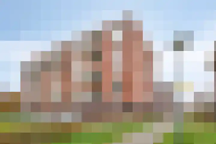Vlasven 105 Veghel thumbnail 28