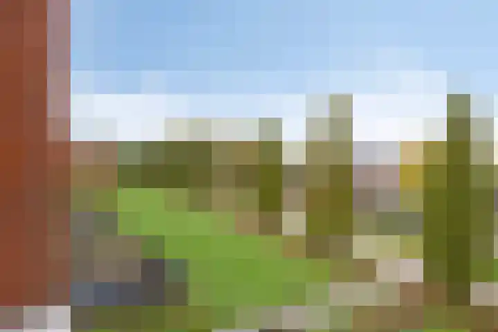 Vlasven 105 Veghel thumbnail 29