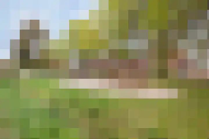 Vlasven 105 Veghel thumbnail 30
