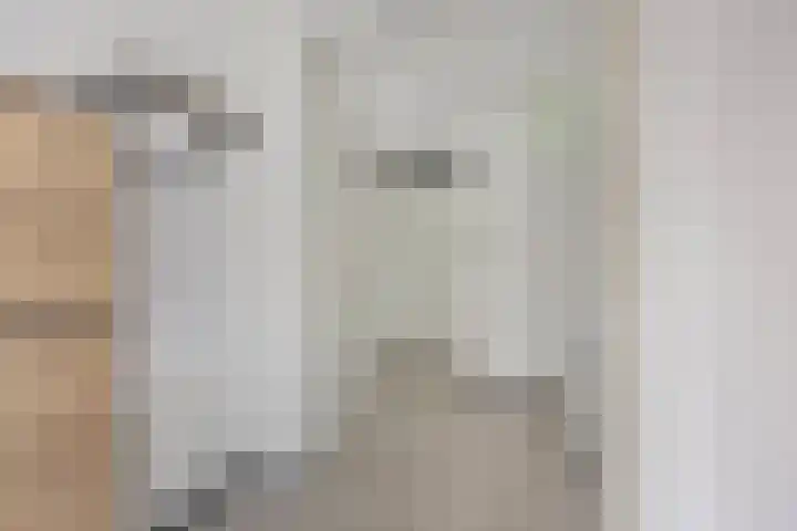 Vlasven 105 Veghel thumbnail 6
