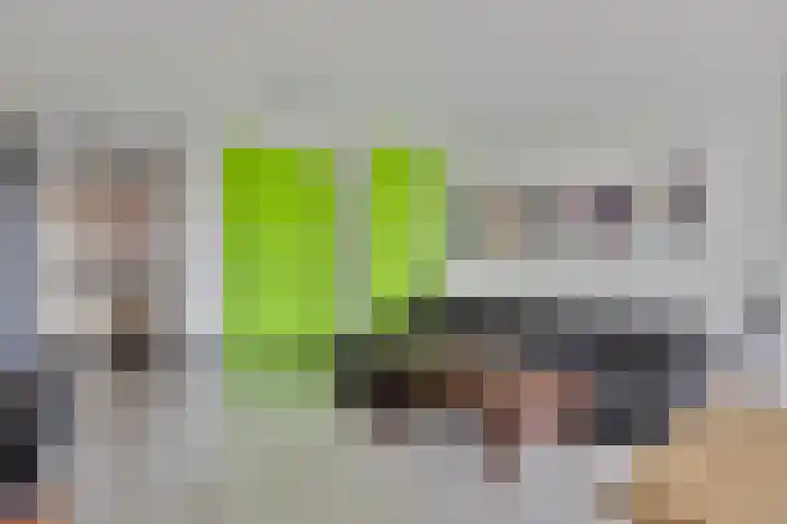 Vlasven 105 Veghel thumbnail 9