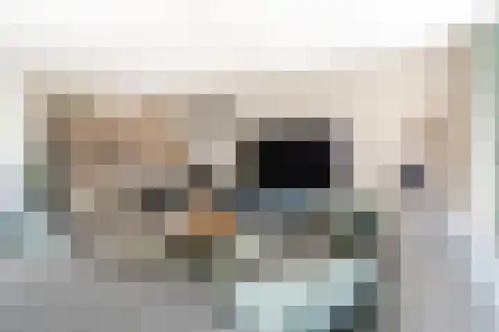 Vlasven 2 Veghel thumbnail 11