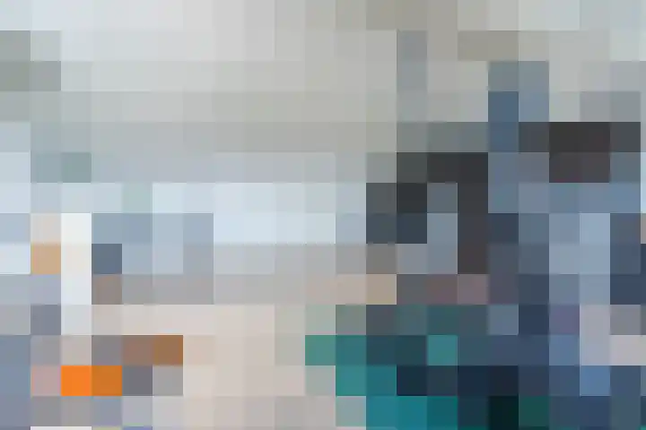 Vlasven 2 Veghel thumbnail 29