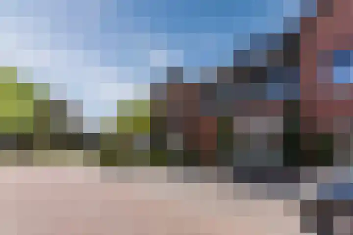 Vlasven 2 Veghel foto 3