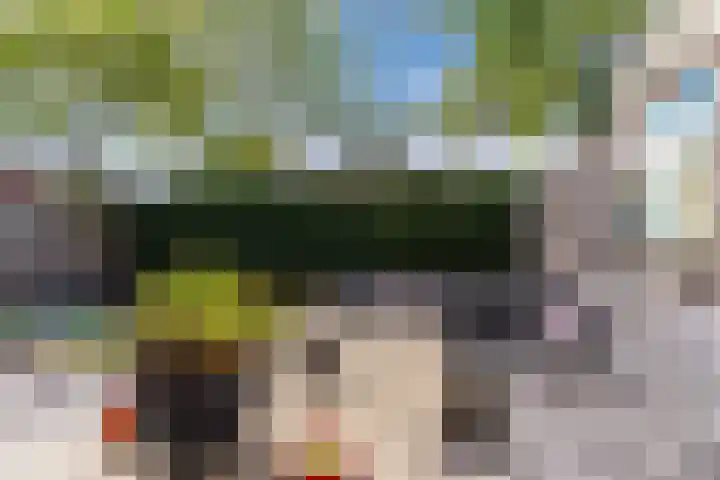 Vlasven 2 Veghel thumbnail 34