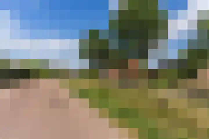 Vlasven 2 Veghel thumbnail 37