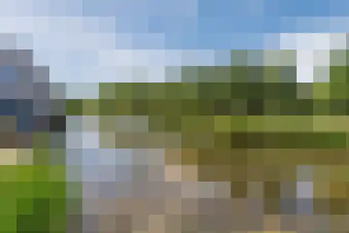 Vlasven 2 Veghel thumbnail 39