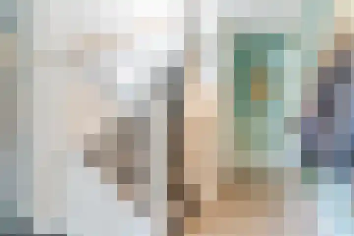 Vlasven 2 Veghel thumbnail 5