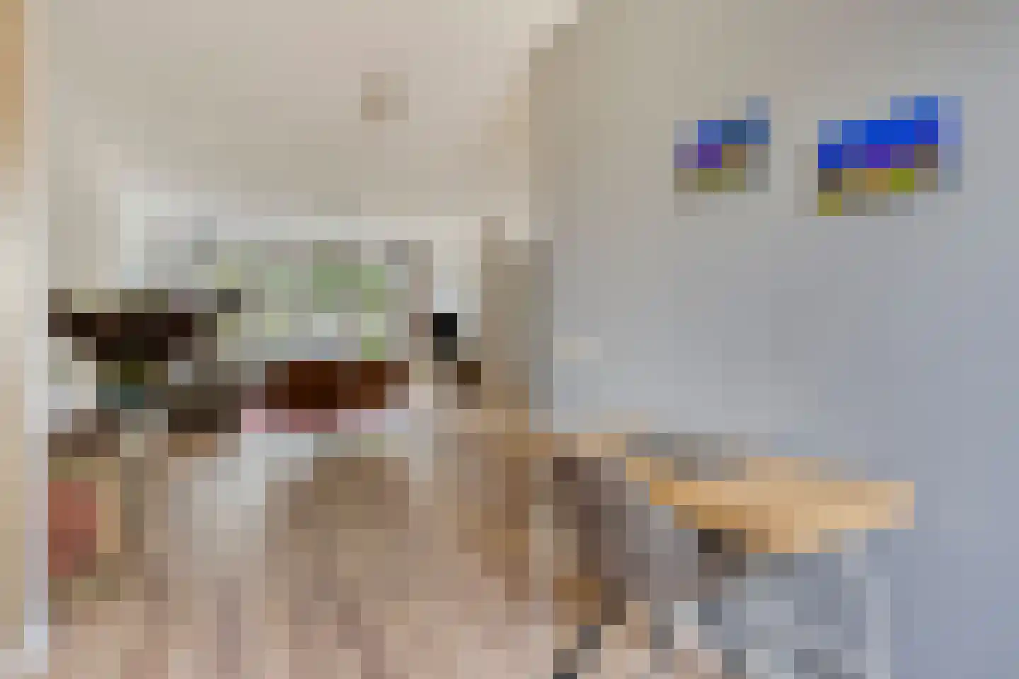 Vlasven 219 Veghel thumbnail 12