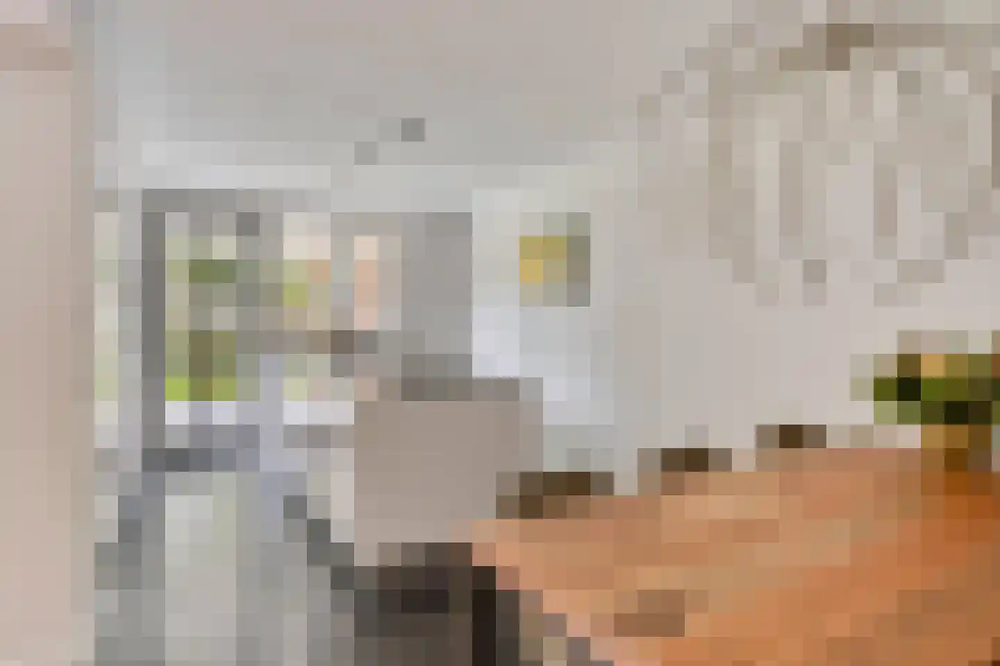 Vlasven 219 Veghel thumbnail 13