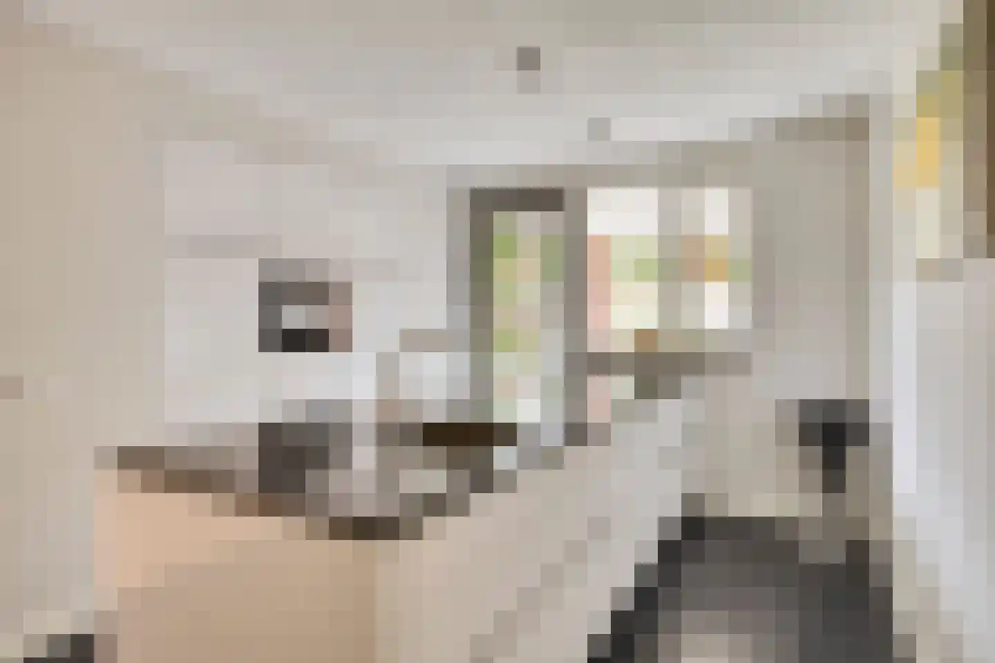 Vlasven 219 Veghel thumbnail 16