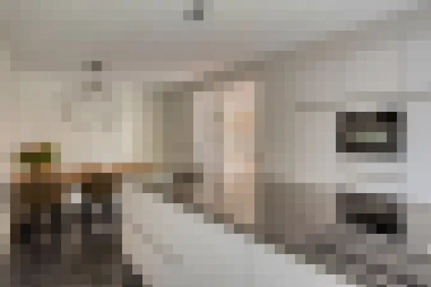 Vlasven 219 Veghel thumbnail 17