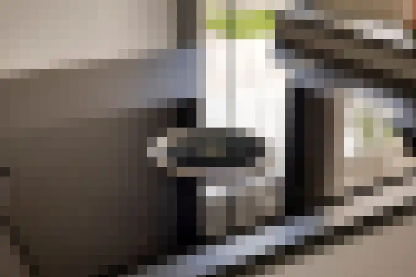 Vlasven 219 Veghel thumbnail 19
