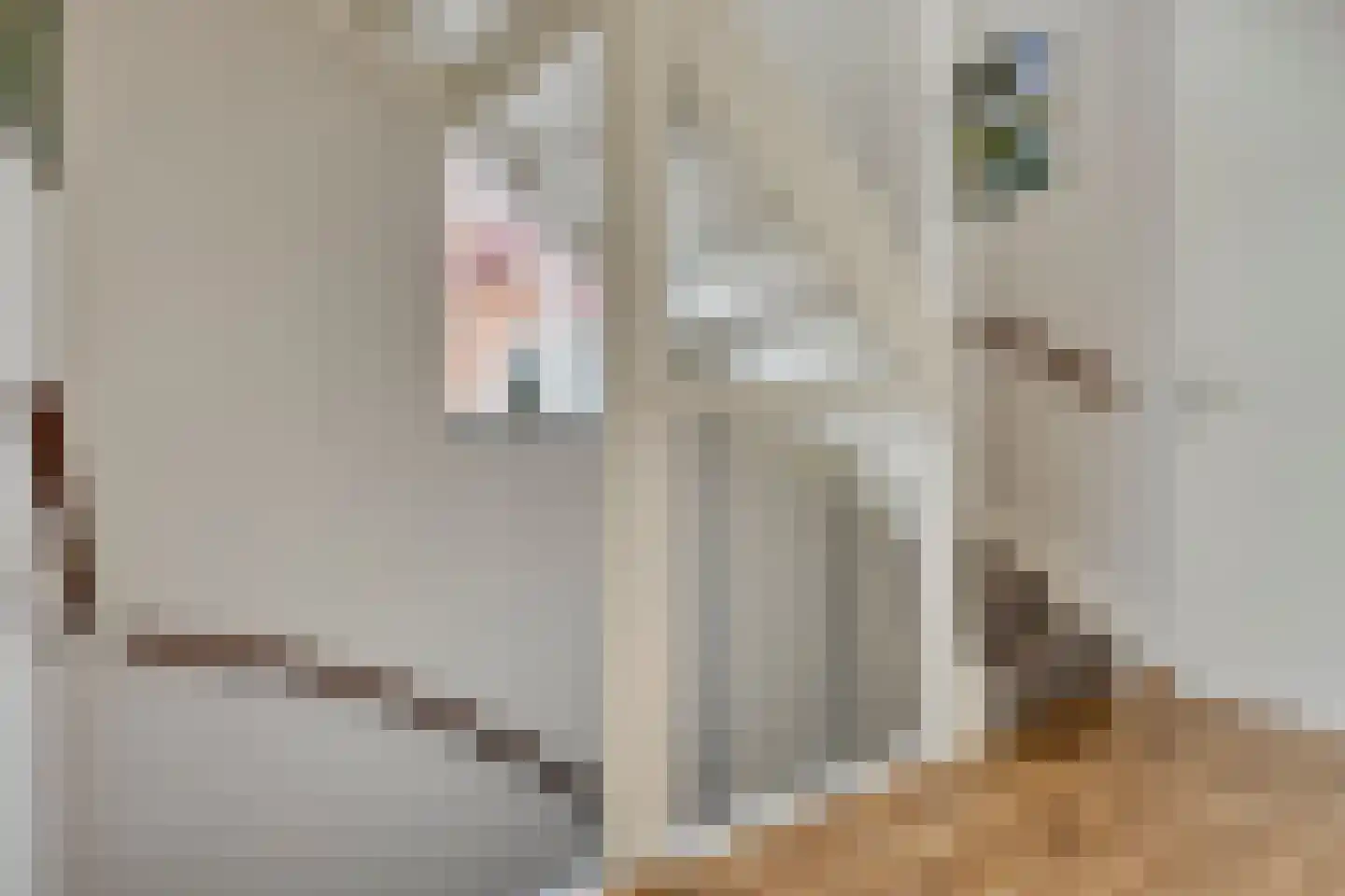 Vlasven 219 Veghel thumbnail 29