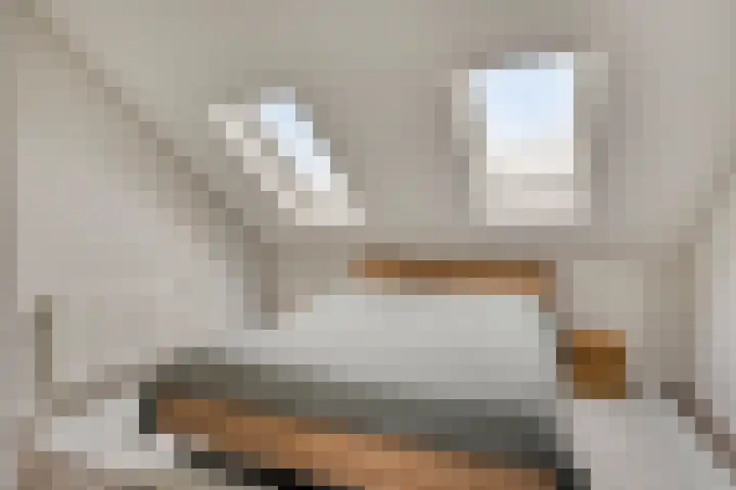Vlasven 219 Veghel thumbnail 30