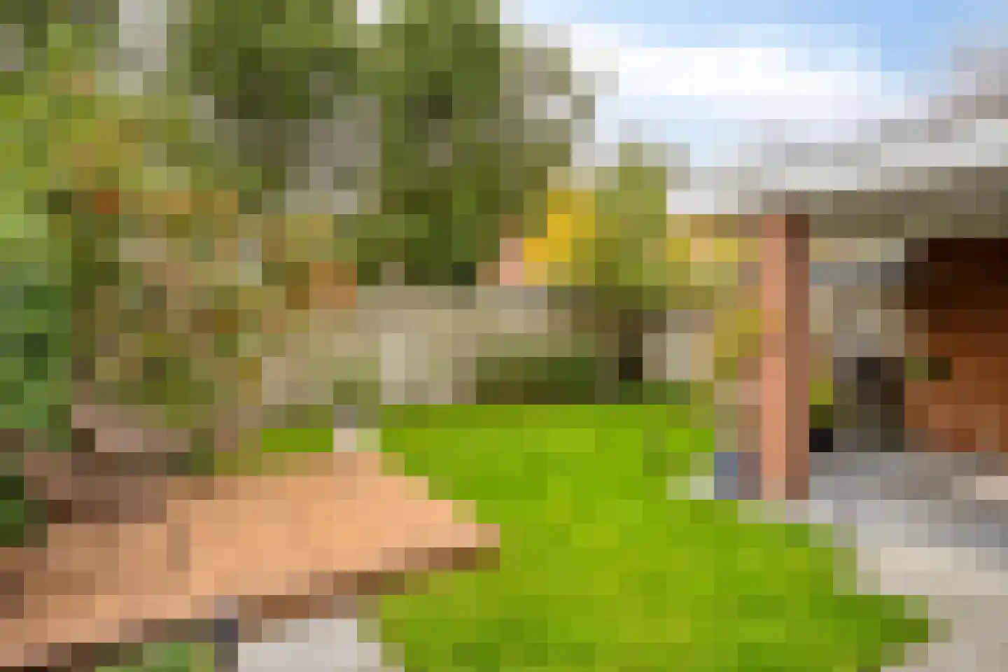 Vlasven 219 Veghel thumbnail 36