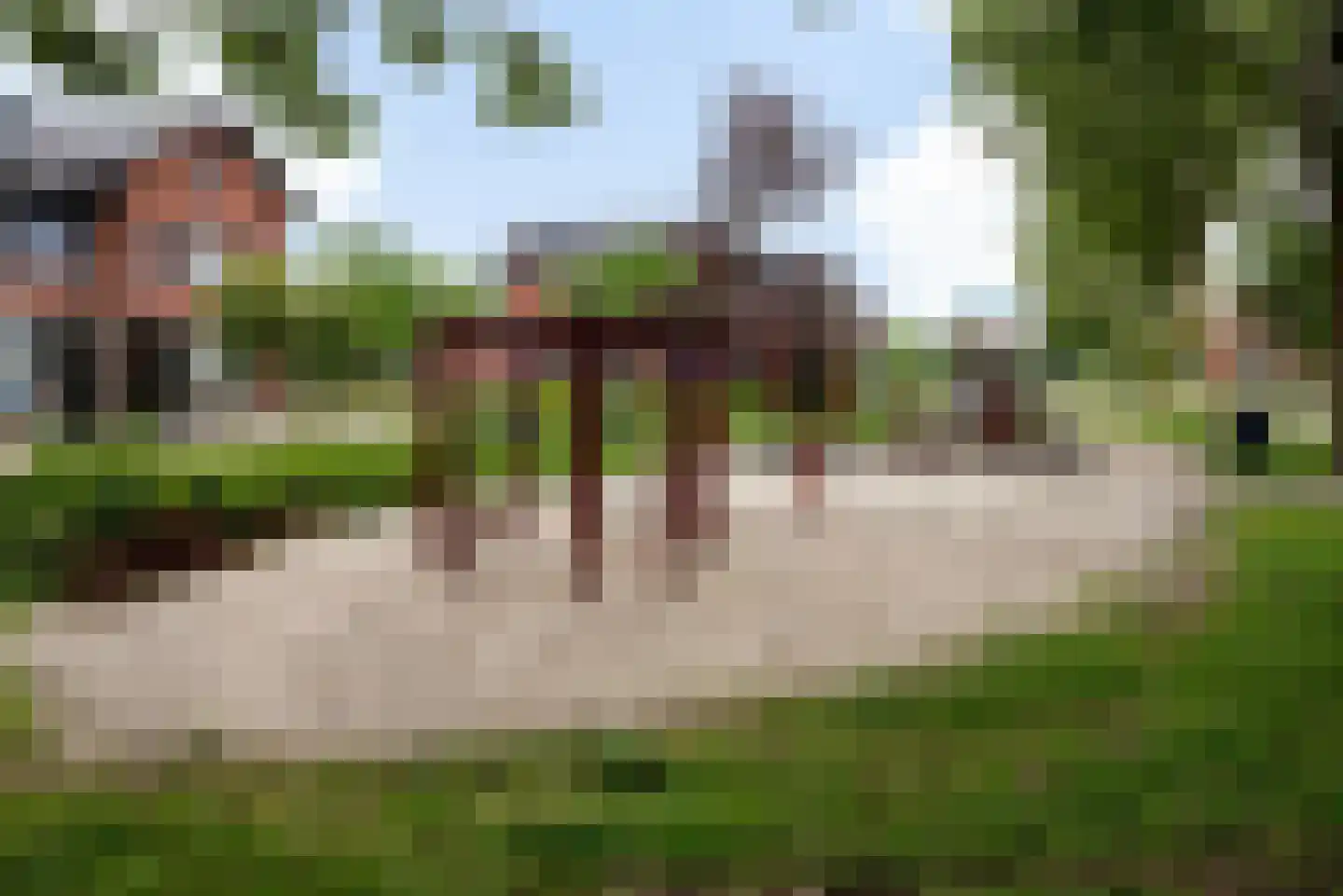 Vlasven 219 Veghel thumbnail 42