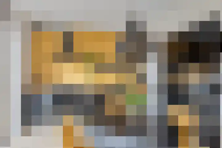 Vlasven 26 Veghel thumbnail 10