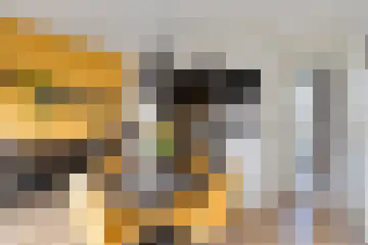 Vlasven 26 Veghel thumbnail 11