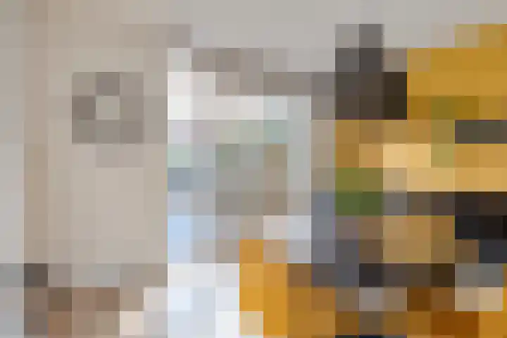 Vlasven 26 Veghel thumbnail 12
