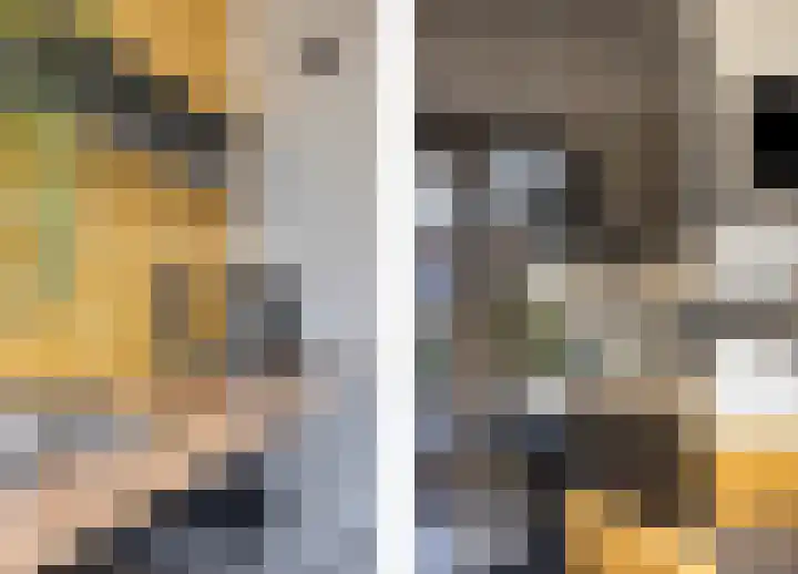 Vlasven 26 Veghel thumbnail 14