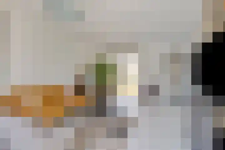 Vlasven 26 Veghel thumbnail 18