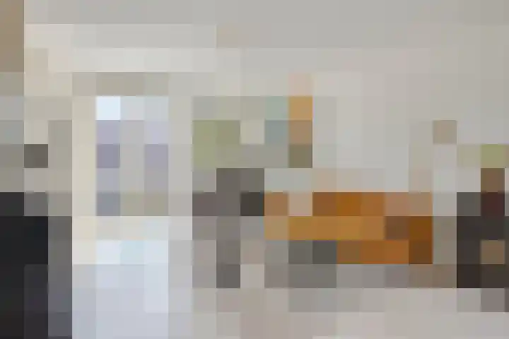 Vlasven 26 Veghel thumbnail 20